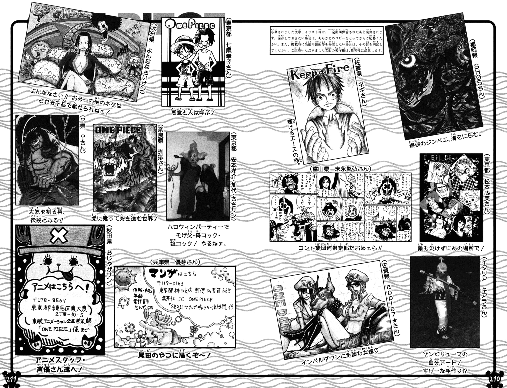 One Piece, Chapter 584 image 21